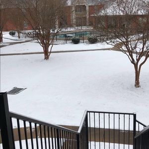 Meet your Posher, Ross